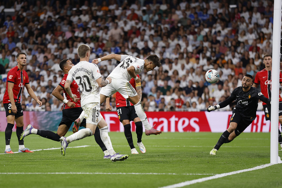 尔的计划, 诺披露的内 尔的计划, 诺披露的内