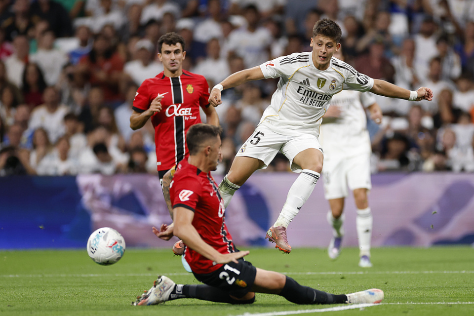 极的, com 极的, com